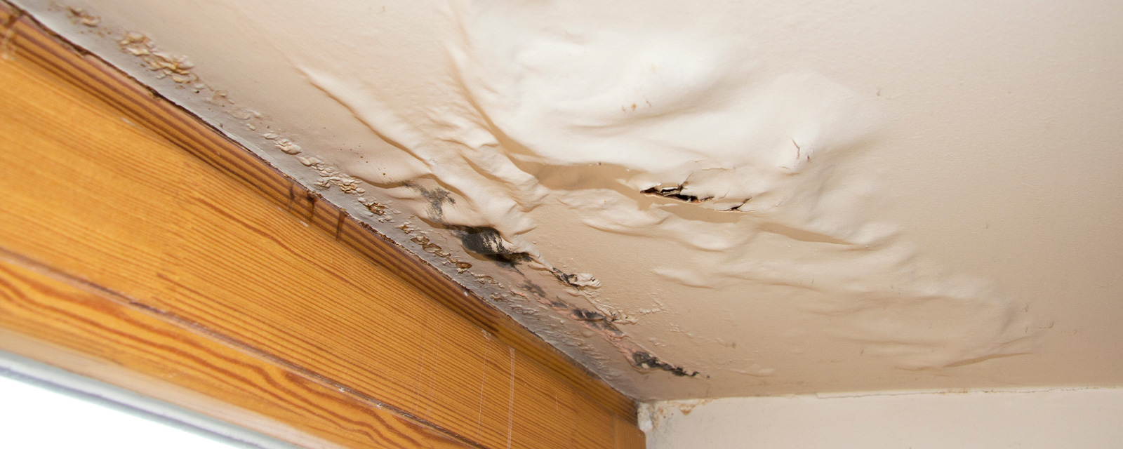Un dégât des eaux dans vos locaux : ce que votre assurance ne couvre pas (et comment bricoler pour limiter la casse)
